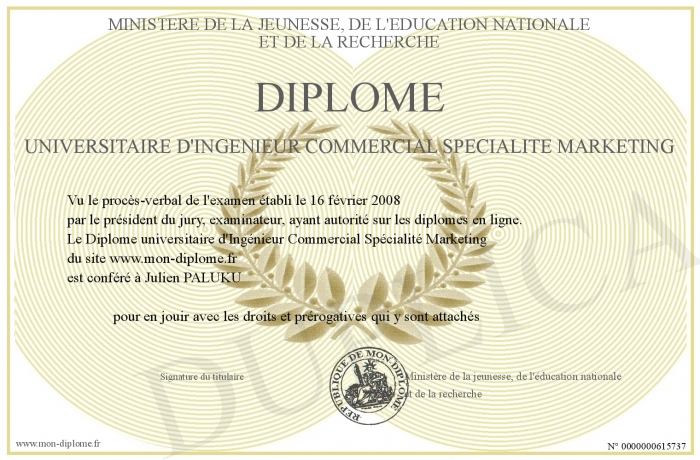 diplome universitaire marketing